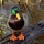 Extrait de la librairie photos Oiseau, �chantillon 12